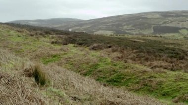 Çimenli ve tepeli WS Peyzajı, Glasgow, İskoçya, İngiltere