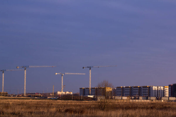 construction site with tower cranes in a field against a dark blue sky