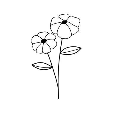 Orman eğreltiotu okaliptüsleri, sanat yaprakları, doğal bitkiler. Dekoratif güzellik tasarım çiçeği için zarif illüstrasyon