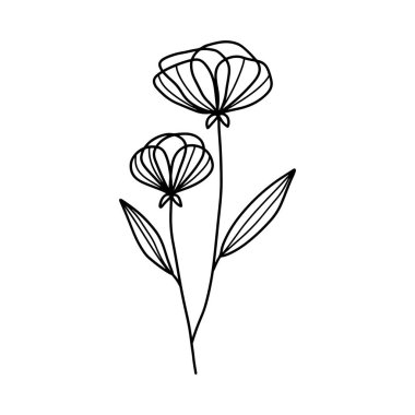 Orman eğreltiotu okaliptüsleri, sanat yaprakları, doğal bitkiler. Dekoratif güzellik tasarım çiçeği için zarif illüstrasyon