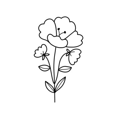 Orman eğreltiotu okaliptüsleri, sanat yaprakları, doğal bitkiler. Dekoratif güzellik tasarım çiçeği için zarif illüstrasyon