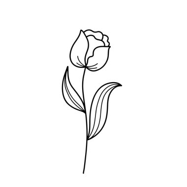 Orman eğreltiotu okaliptüsleri, sanat yaprakları, doğal bitkiler. Dekoratif güzellik tasarım çiçeği için zarif illüstrasyon