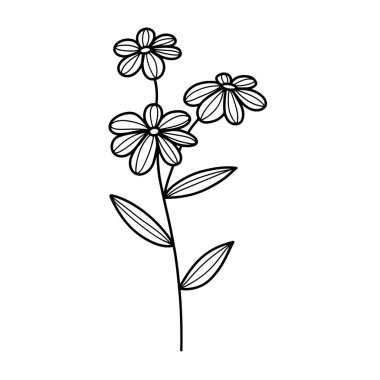 Orman eğreltiotu okaliptüsleri, sanat yaprakları, doğal bitkiler. Dekoratif güzellik tasarım çiçeği için zarif illüstrasyon