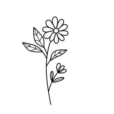 Orman eğreltiotu okaliptüsleri, sanat yaprakları, doğal bitkiler. Dekoratif güzellik tasarım çiçeği için zarif illüstrasyon