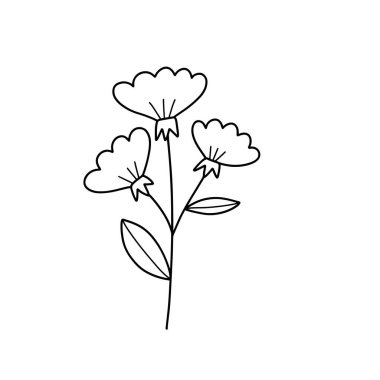 Orman eğreltiotu okaliptüsleri, sanat yaprakları, doğal bitkiler. Dekoratif güzellik tasarım çiçeği için zarif illüstrasyon