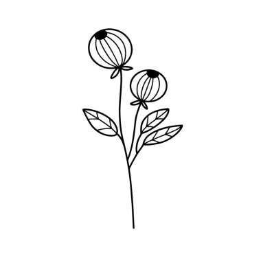 Orman eğreltiotu okaliptüsleri, sanat yaprakları, doğal bitkiler. Dekoratif güzellik tasarım çiçeği için zarif illüstrasyon