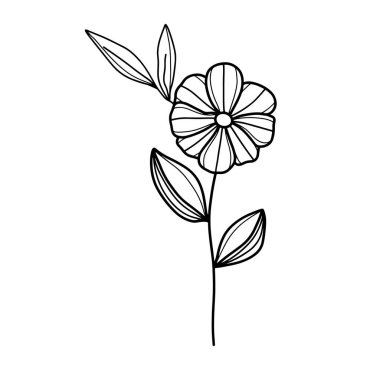 Orman eğreltiotu okaliptüsleri, sanat yaprakları, doğal bitkiler. Dekoratif güzellik tasarım çiçeği için zarif illüstrasyon