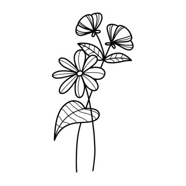 Orman eğreltiotu okaliptüsleri, sanat yaprakları, doğal bitkiler. Dekoratif güzellik tasarım çiçeği için zarif illüstrasyon