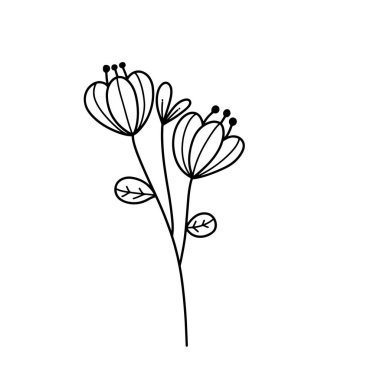 Orman eğreltiotu okaliptüsleri, sanat yaprakları, doğal bitkiler. Dekoratif güzellik tasarım çiçeği için zarif illüstrasyon