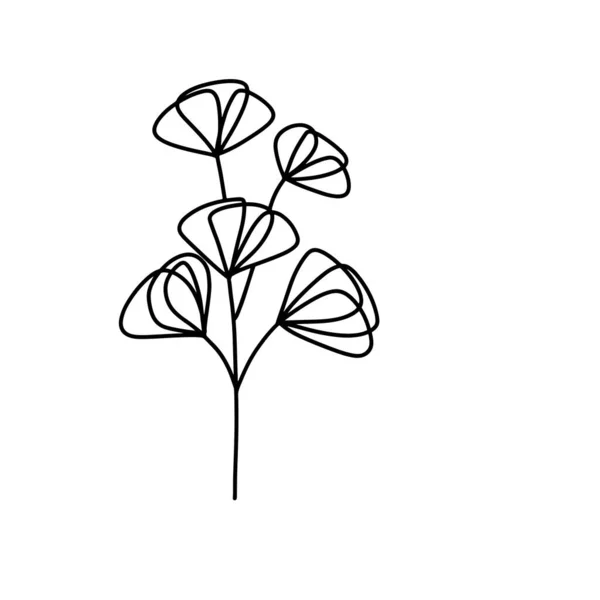 收集森林蕨类桉树艺术叶子天然叶子草本植物的线条风格 装饰美的典雅图解设计花卉 — 图库照片