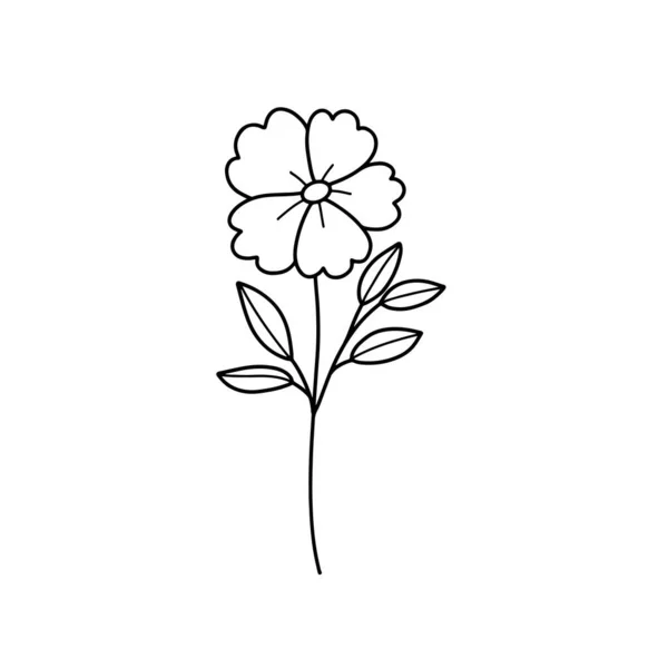 コレクション フォレスト フェルン ユーカリ アートの葉は線状にハーブを残します デザイン花のための装飾的な美しさエレガントなイラスト — ストック写真
