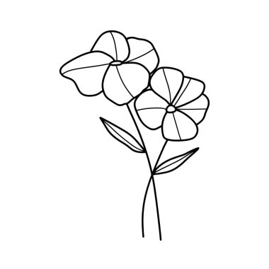 Orman eğreltiotu okaliptüsleri, sanat yaprakları, doğal bitkiler. Dekoratif güzellik tasarım çiçeği için zarif illüstrasyon