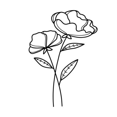 Orman eğreltiotu okaliptüsleri, sanat yaprakları, doğal bitkiler. Dekoratif güzellik tasarım çiçeği için zarif illüstrasyon