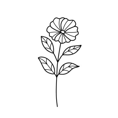 Orman eğreltiotu okaliptüsleri, sanat yaprakları, doğal bitkiler. Dekoratif güzellik tasarım çiçeği için zarif illüstrasyon