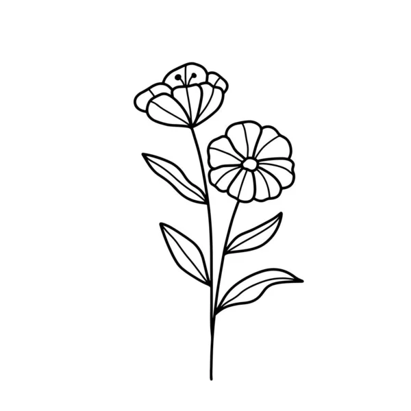 고구마 유칼립투스의 허브를 모양으로 잎으로 만든다 아름다운 디자인의 모양의 장식용우아 — 스톡 사진