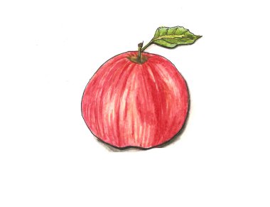 Kırpma yolu ile suluboya elma çizimi