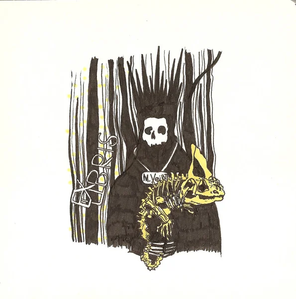 Sketch Taxidermia Morte Tem Esqueleto Camaleão — Fotografia de Stock