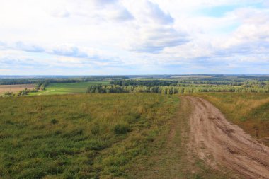 Ormandaki yol dışında.