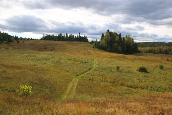 Campos Natureza Árvores Rússia — Fotografia de Stock