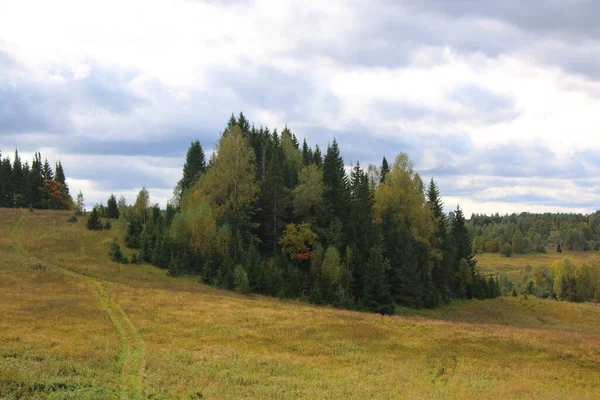 Campos Natureza Árvores Rússia — Fotografia de Stock