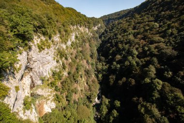 Yeşil dağlar arasında derin kanyon