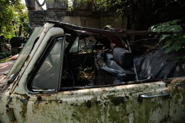 Ormanın ortasında terk edilmiş arabalar.