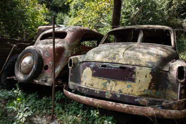 Ormanın ortasında terk edilmiş arabalar.