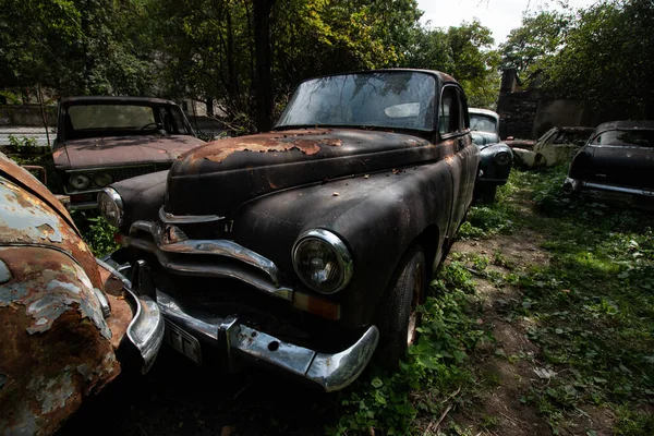 Carros Abandonados Meio Floresta — Fotografia de Stock