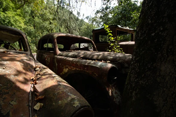 Abandoned Cars Middle Forest — Stock Photo, Image