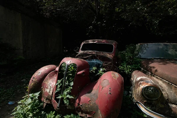 Porzucone Samochody Środku Lasu — Zdjęcie stockowe