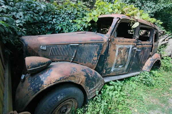 Abandoned Cars Middle Forest — Stock Photo, Image