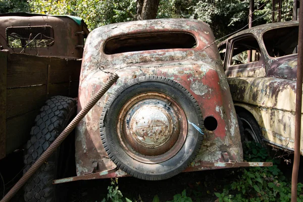 Ormanın ortasında terk edilmiş arabalar.