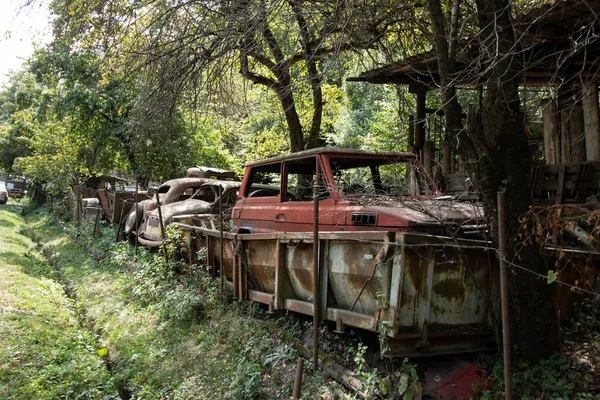 Porzucone Samochody Środku Lasu — Zdjęcie stockowe