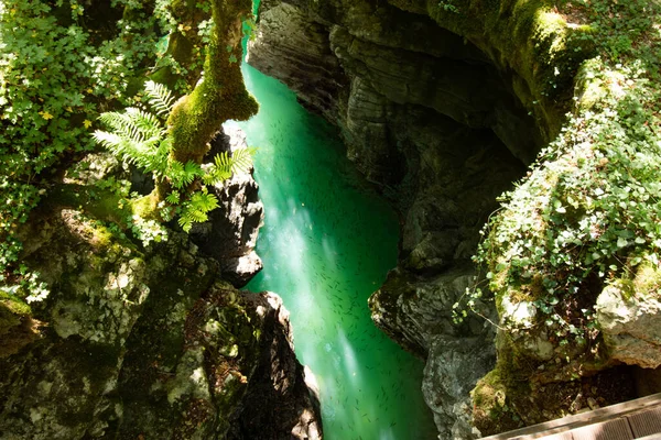 Desfiladeiro Com Água Azul Rochas Brancas — Fotografia de Stock