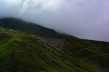 Dağlarda bir koyun sürüsü