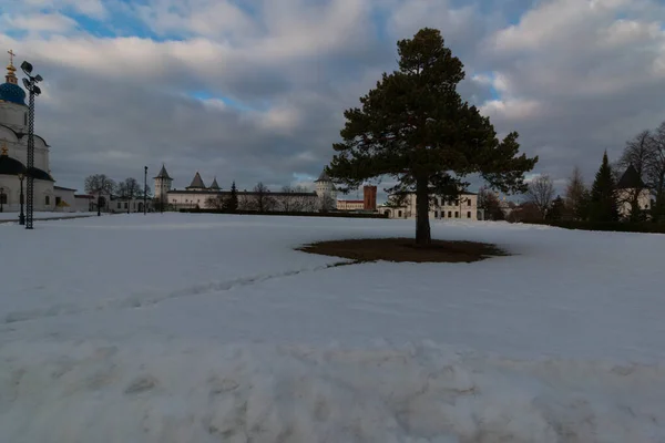 Árbol Pie Medio Del Kremlin —  Fotos de Stock