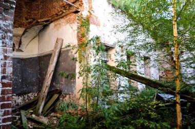 Ormanda terk edilmiş eski bir kilise.