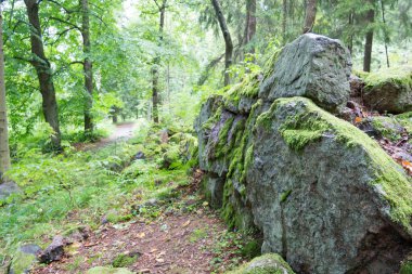 Karelia 'da yosun içinde taş