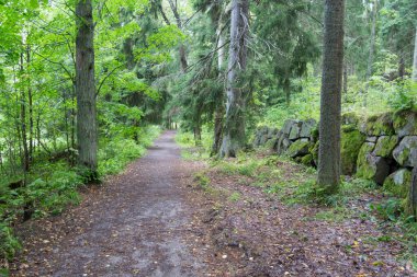Taşların ve ormanın arasında park yolları