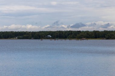 Nehirde büyük taşlar