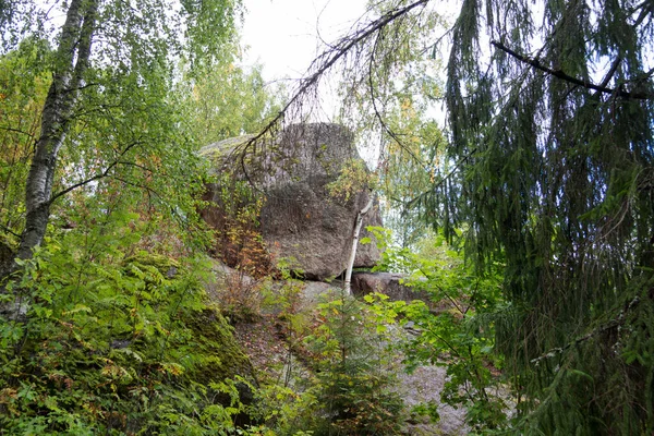 Kamień Mech Karelii — Zdjęcie stockowe