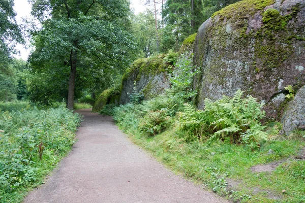 Park Paths Stones Forest — Stock Photo, Image
