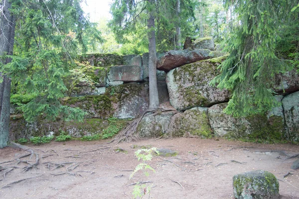 Parkwege Zwischen Steinen Und Wald — Stockfoto