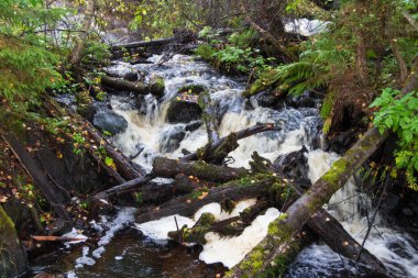 Karelia 'daki ormanda şelale