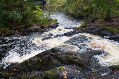 Karelia 'daki ormanda şelale