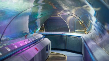 Akvaryumun altındaki tünel geçidi