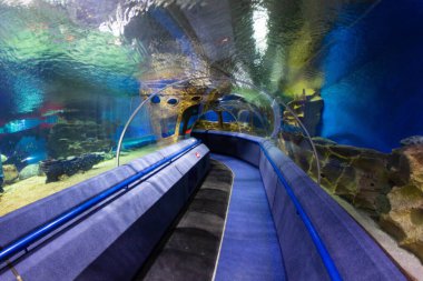 Akvaryumun altındaki tünel geçidi