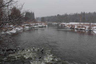 Buzsuz, fırtınalı bir nehir