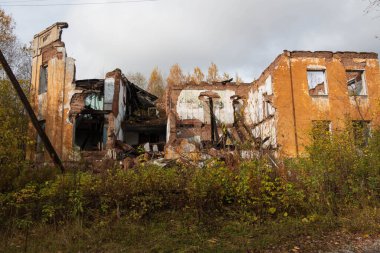 Terk edilmiş bina bitkilerle dolu.