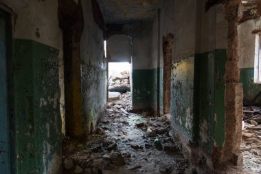 Terk edilmiş bina bitkilerle dolu.